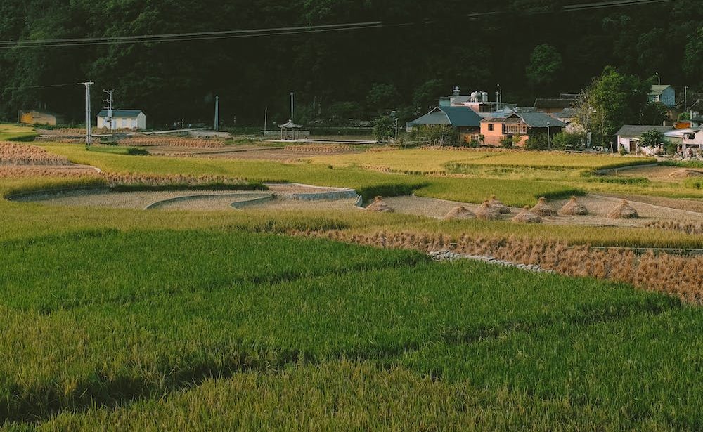 free photo-of-view-of-a-cropland-in-a-mountain-valley