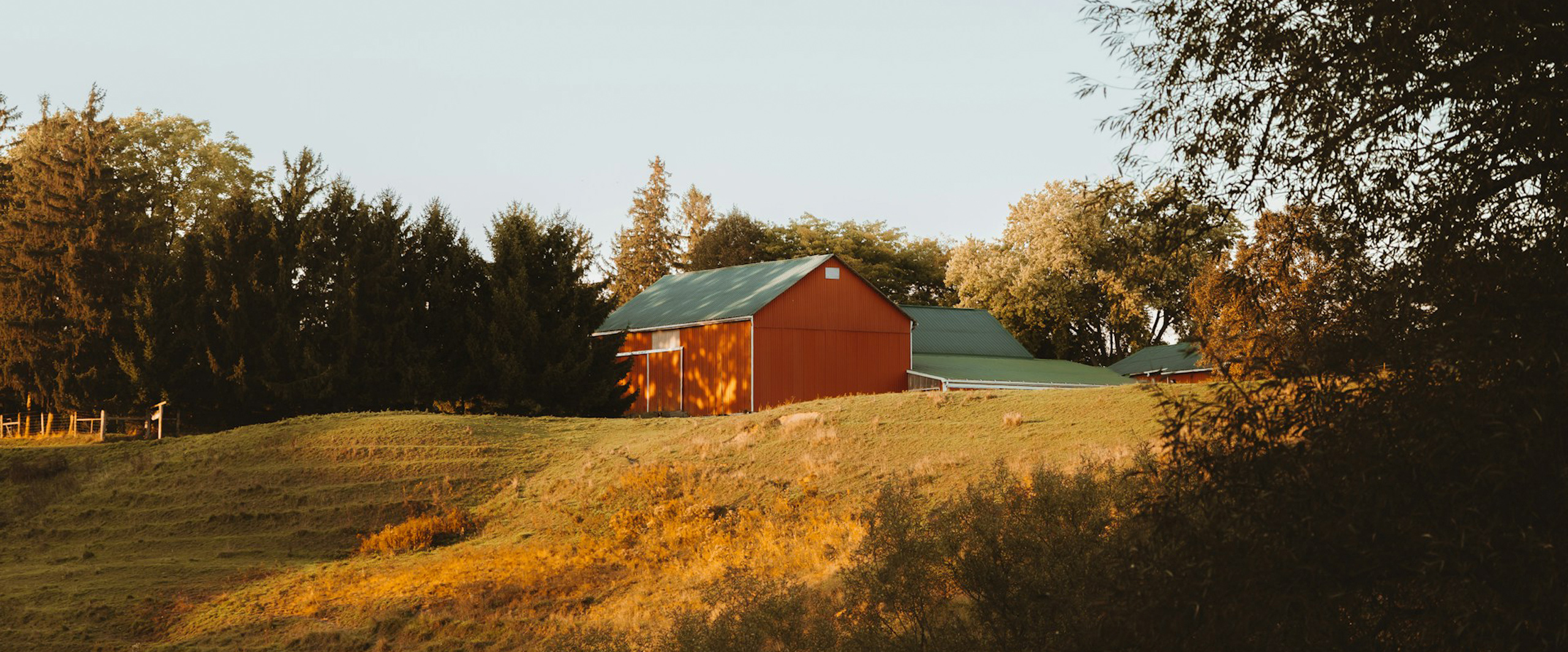  Barn Photo by Damian Kravchuk on Unsplash